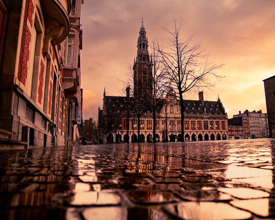 Library in Leuven, Belgium. Framed and printed on high-quality paper.